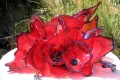 Scarlet Glass Sculptures